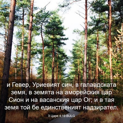 Picture 03 - 3 Царе 4:19 BULG - и Гевер, Уриевият син, в - Bible Verse Picture