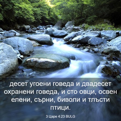 Picture 03 - 3 Царе 4:23 BULG - десет угоени говеда и - Bible Verse Picture