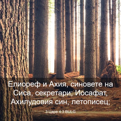 Picture 03 - 3 Царе 4:3 BULG - Елиореф и Ахия, синовете на - Bible Verse Picture