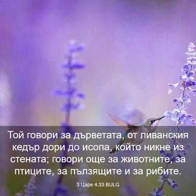 Picture 03 - 3 Царе 4:33 BULG - Той говори за дърветата, от - Bible Verse Picture