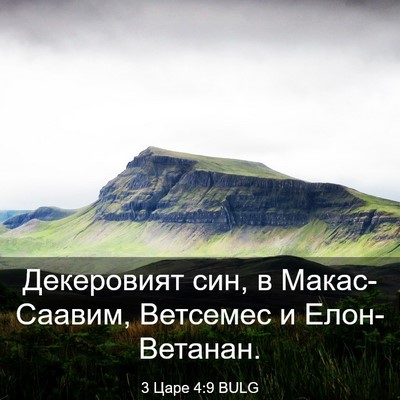 Picture 03 - 3 Царе 4:9 BULG - Декеровият син, в - Bible Verse Picture