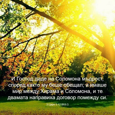 Picture 03 - 3 Царе 5:12 BULG - И Господ даде на Соломона - Bible Verse Picture