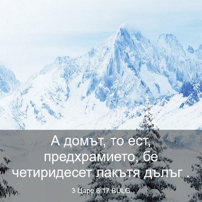 Picture 03 - 3 Царе 6:17 BULG - А домът, то ест, - Bible Verse Picture