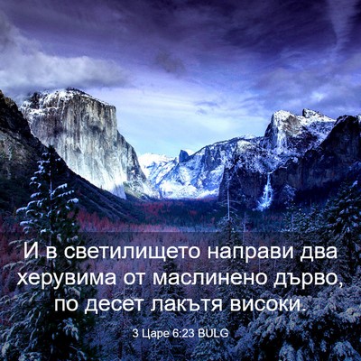 Picture 03 - 3 Царе 6:23 BULG - И в светилището направи - Bible Verse Picture