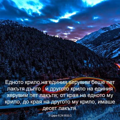 Picture 03 - 3 Царе 6:24 BULG - Едното крило на единия - Bible Verse Picture