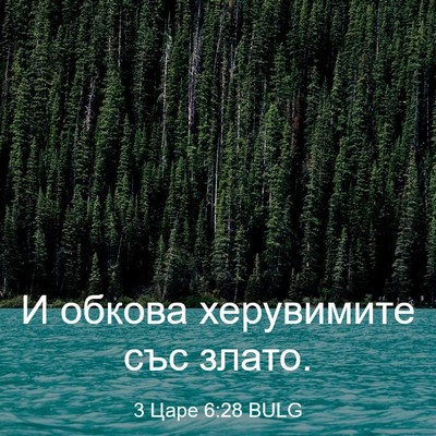 Picture 03 - 3 Царе 6:28 BULG - И обкова херувимите със - Bible Verse Picture