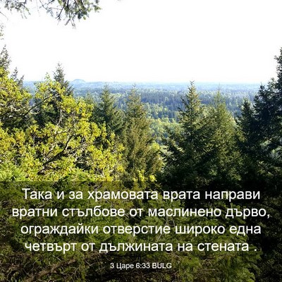 Picture 03 - 3 Царе 6:33 BULG - Така и за храмовата врата - Bible Verse Picture