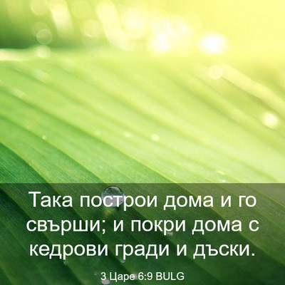 Picture 03 - 3 Царе 6:9 BULG - Така построи дома и го - Bible Verse Picture