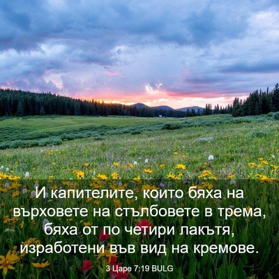 Picture 03 - 3 Царе 7:19 BULG - И капителите, които бяха на - Bible Verse Picture