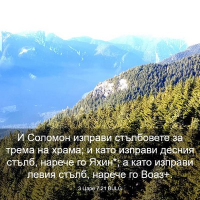 Picture 03 - 3 Царе 7:21 BULG - И Соломон изправи - Bible Verse Picture