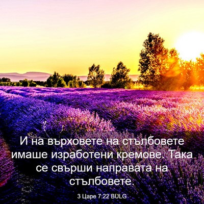 Picture 03 - 3 Царе 7:22 BULG - И на върховете на - Bible Verse Picture