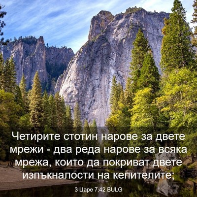 Picture 03 - 3 Царе 7:42 BULG - Четирите стотин нарове за - Bible Verse Picture