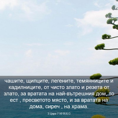 Picture 03 - 3 Царе 7:50 BULG - чашите, щипците, легените, - Bible Verse Picture