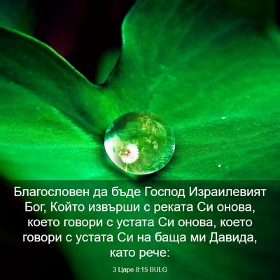 Picture 03 - 3 Царе 8:15 BULG - Благословен да бъде Господ - Bible Verse Picture