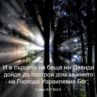 Picture 03 - 3 Царе 8:17 BULG - И в сърцето на баща ми - Bible Verse Picture