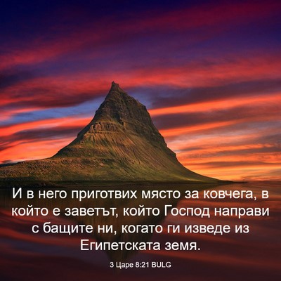Picture 03 - 3 Царе 8:21 BULG - И в него приготвих място за - Bible Verse Picture