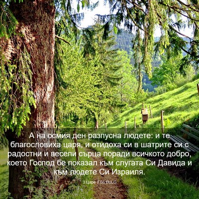 Picture 03 - 3 Царе 8:66 BULG - А на осмия ден разпусна - Bible Verse Picture