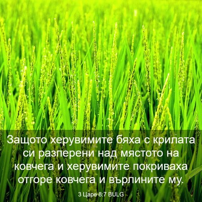 Picture 03 - 3 Царе 8:7 BULG - Защото херувимите бяха с - Bible Verse Picture