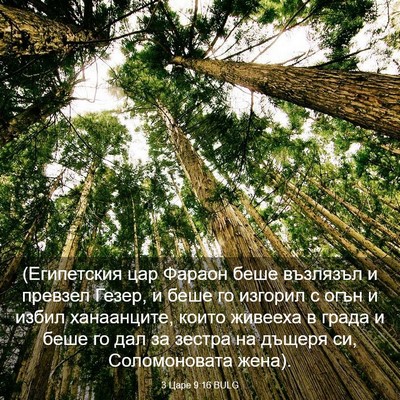 Picture 03 - 3 Царе 9:16 BULG - (Египетския цар Фараон - Bible Verse Picture