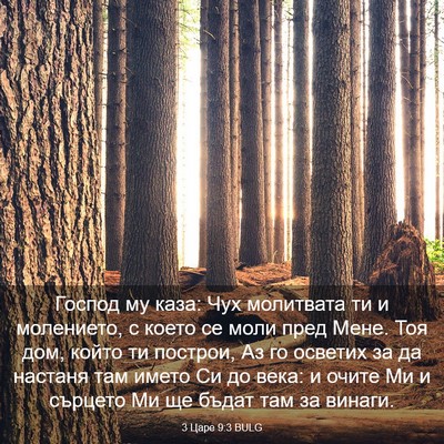 Picture 03 - 3 Царе 9:3 BULG - Господ му каза: Чух - Bible Verse Picture