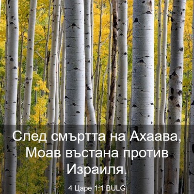 Picture 03 - 4 Царе 1:1 BULG - След смъртта на Ахаава, - Bible Verse Picture