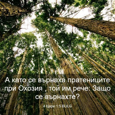 Picture 03 - 4 Царе 1:5 BULG - А като се върнаха - Bible Verse Picture