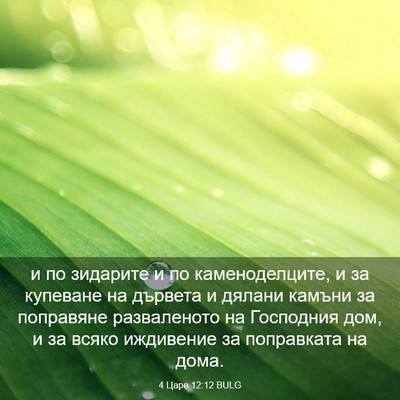 Picture 03 - 4 Царе 12:12 BULG - и по зидарите и по - Bible Verse Picture