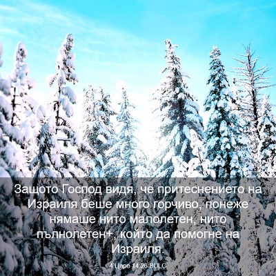 Picture 03 - 4 Царе 14:26 BULG - Защото Господ видя, че - Bible Verse Picture