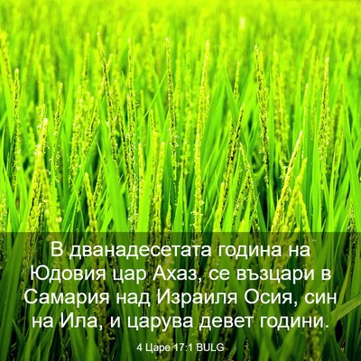 Picture 03 - 4 Царе 17:1 BULG - В дванадесетата година на - Bible Verse Picture
