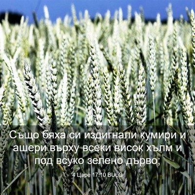 Picture 03 - 4 Царе 17:10 BULG - Също бяха си издигнали - Bible Verse Picture