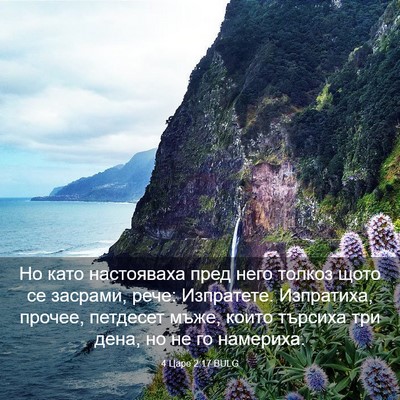 Picture 03 - 4 Царе 2:17 BULG - Но като настояваха пред - Bible Verse Picture