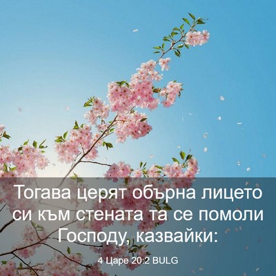 Picture 03 - 4 Царе 20:2 BULG - Тогава церят обърна лицето - Bible Verse Picture