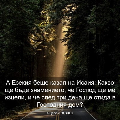Picture 03 - 4 Царе 20:8 BULG - А Езекия беше казал на - Bible Verse Picture