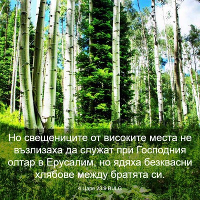 Picture 03 - 4 Царе 23:9 BULG - Но свещениците от високите - Bible Verse Picture