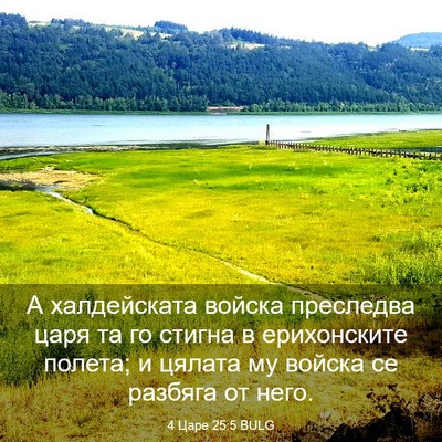 Picture 03 - 4 Царе 25:5 BULG - А халдейската войска - Bible Verse Picture