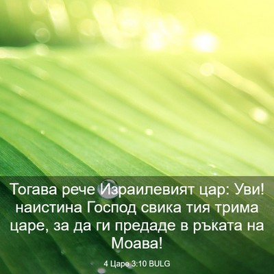 Picture 03 - 4 Царе 3:10 BULG - Тогава рече Израилевият - Bible Verse Picture