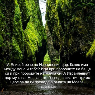 Picture 03 - 4 Царе 3:13 BULG - А Елисей рече на - Bible Verse Picture