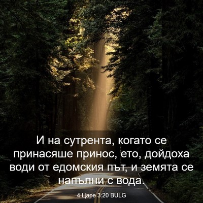 Picture 03 - 4 Царе 3:20 BULG - И на сутрента, когато се - Bible Verse Picture