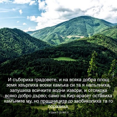 Picture 03 - 4 Царе 3:25 BULG - И събориха градовете, и на - Bible Verse Picture