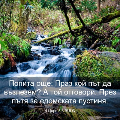 Picture 03 - 4 Царе 3:8 BULG - Попита още: Праз кой път да - Bible Verse Picture