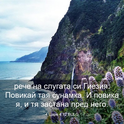 Picture 03 - 4 Царе 4:12 BULG - рече на слугата си Гиезия: - Bible Verse Picture