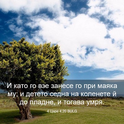 Picture 03 - 4 Царе 4:20 BULG - И като го взе занесе го при - Bible Verse Picture