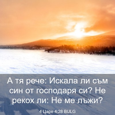 Picture 03 - 4 Царе 4:28 BULG - А тя рече: Искала ли съм син - Bible Verse Picture