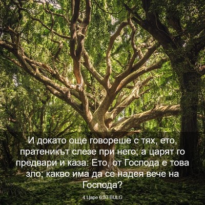 Picture 03 - 4 Царе 6:33 BULG - И докато още говореше с - Bible Verse Picture