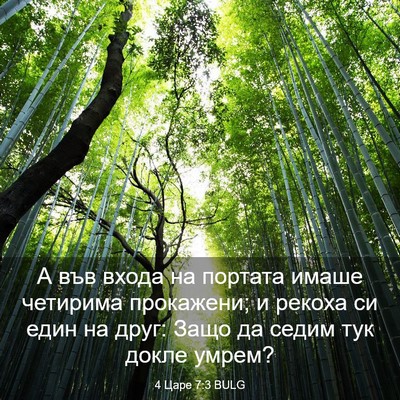 Picture 03 - 4 Царе 7:3 BULG - А във входа на портата - Bible Verse Picture