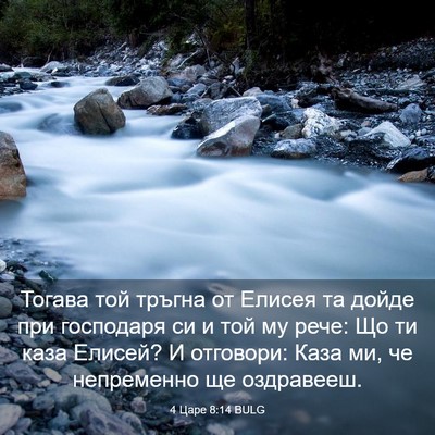 Picture 03 - 4 Царе 8:14 BULG - Тогава той тръгна от - Bible Verse Picture