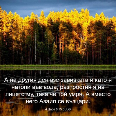 Picture 03 - 4 Царе 8:15 BULG - А на другия ден взе - Bible Verse Picture