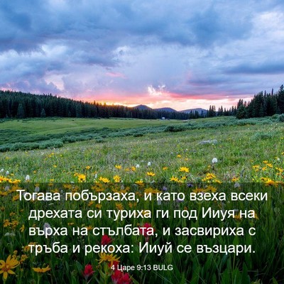 Picture 03 - 4 Царе 9:13 BULG - Тогава побързаха, и като - Bible Verse Picture