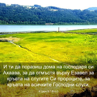 Picture 03 - 4 Царе 9:7 BULG - И ти да поразиш дома на - Bible Verse Picture