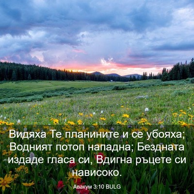 Picture 03 - Авакум 3:10 BULG - Видяха Те планините и се - Bible Verse Picture